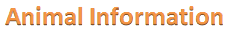 animal information  btn