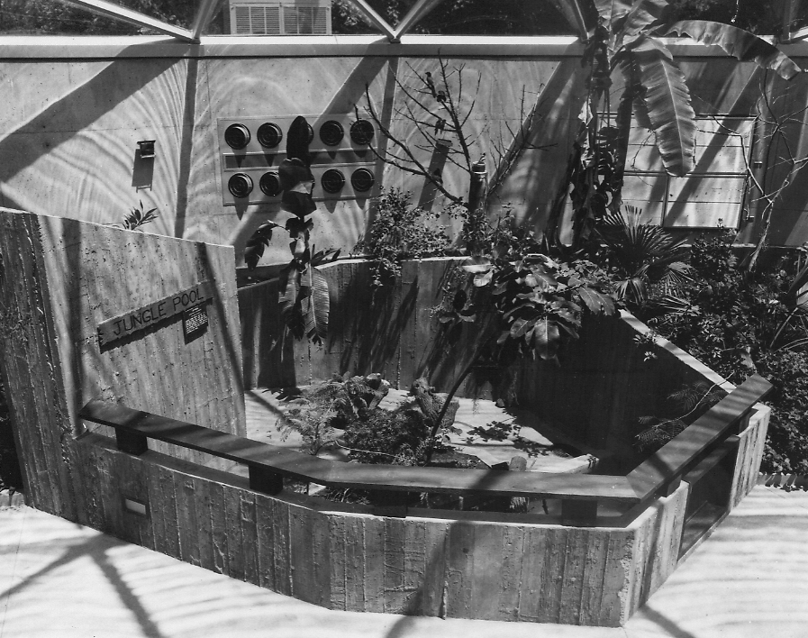 The Rainforest opened in 1974 and featured many innovative exhibits, such as this Asian Smalll Clawed Otter habitat.