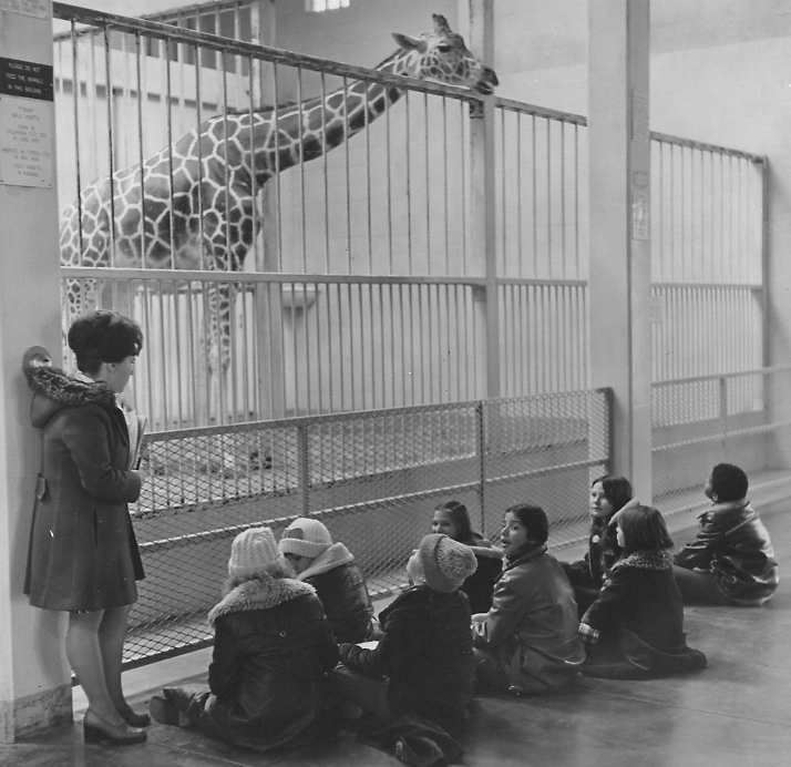 The docent program spans decades of dedicated service educating the public.