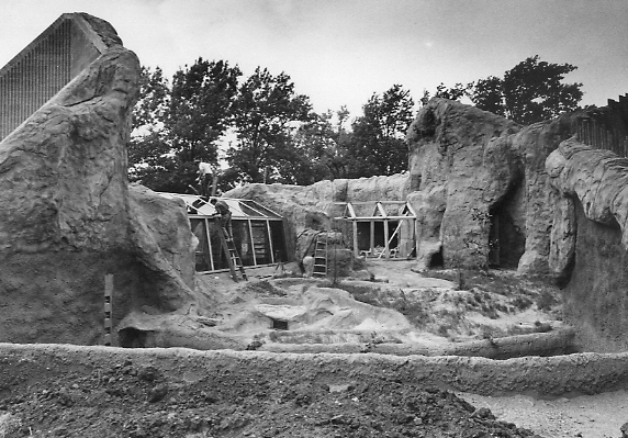 The Gorilla Encounter in Phase II was the first glass tunnel exhibit in North America that provided a 360 degree view of the gorillas.