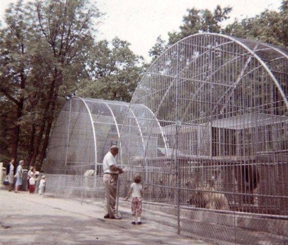 Exhibits evolved over the past several decades as natural habitats and enrichment became focal points.