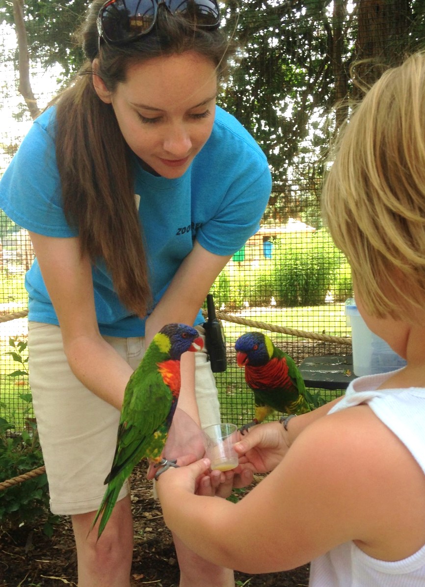 Adventure Trails featuring Lorikeet feedings opened in 2015.