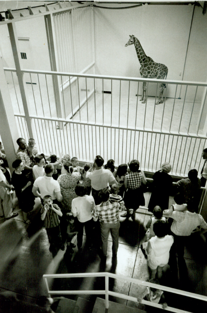 Guests visit Sunflower a few months after her birth on August 24th, 1970.