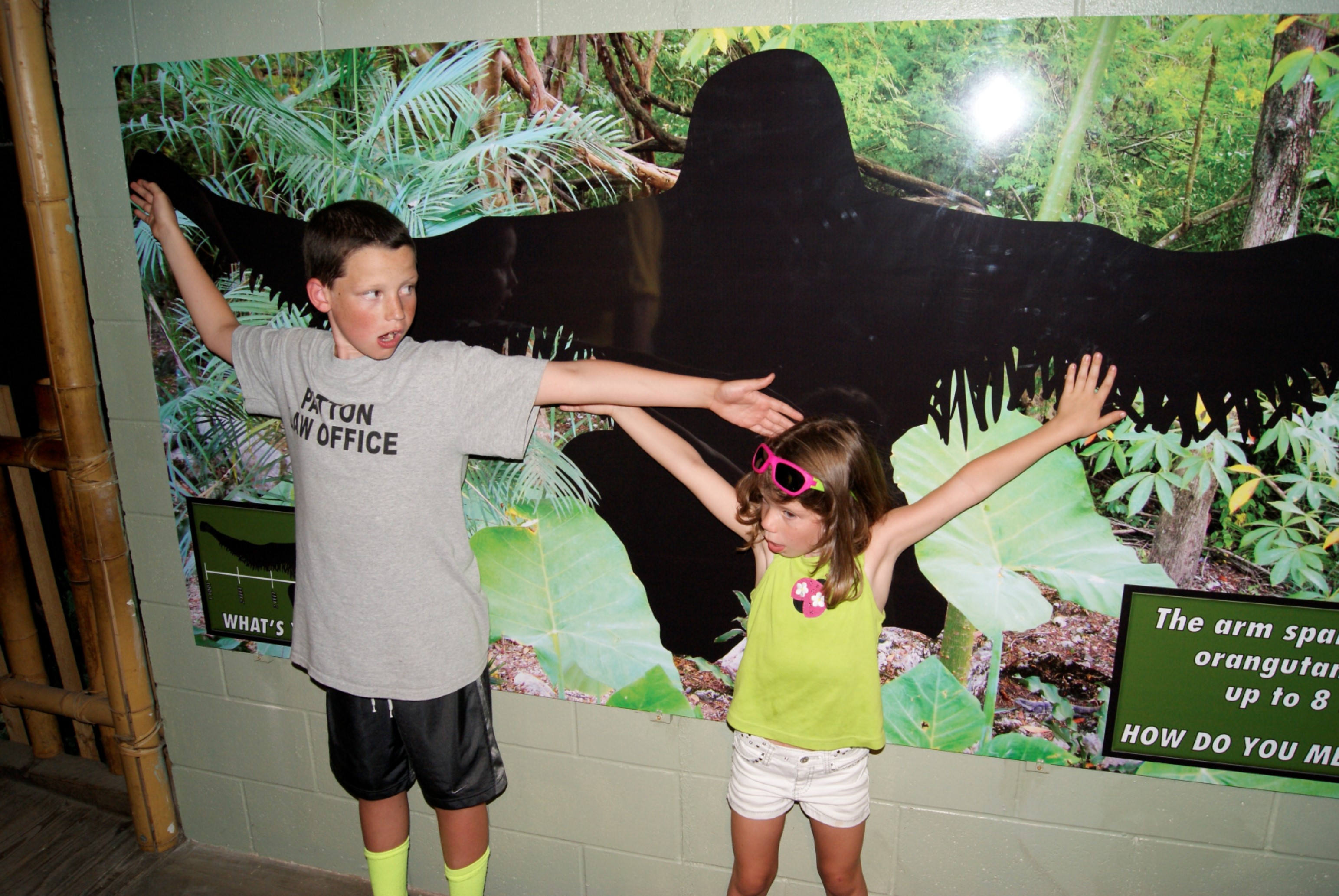 Treetops Conservation Center Opening Day: 2012