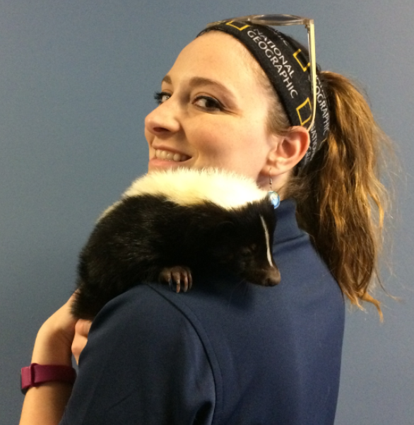 smiling young woman holding black and white skunk on shoulder