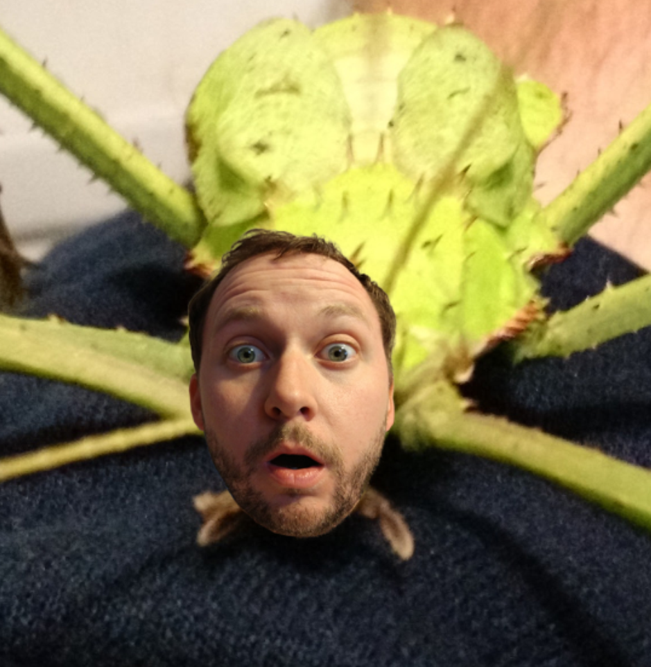 male face superimposed on spider body