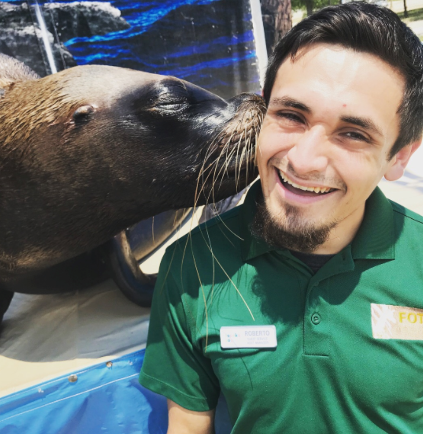 sea lion kissing male zoo employee on cheek at Topeka Zoo
