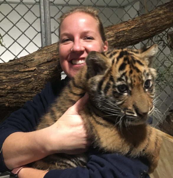 smiling woman holding baby Sumatran tiger cub at Topeka Zoo