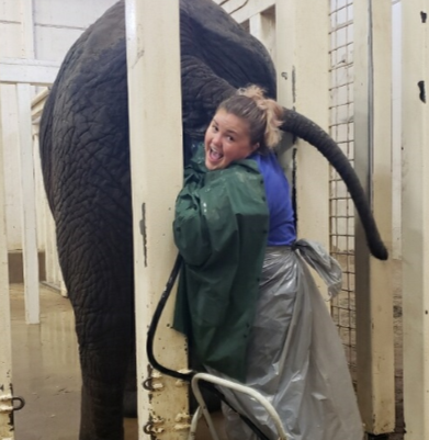 smiling woman with protective gear standing behind elephant