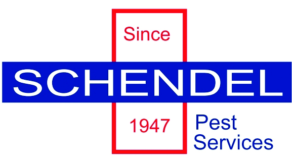 Schendel logo