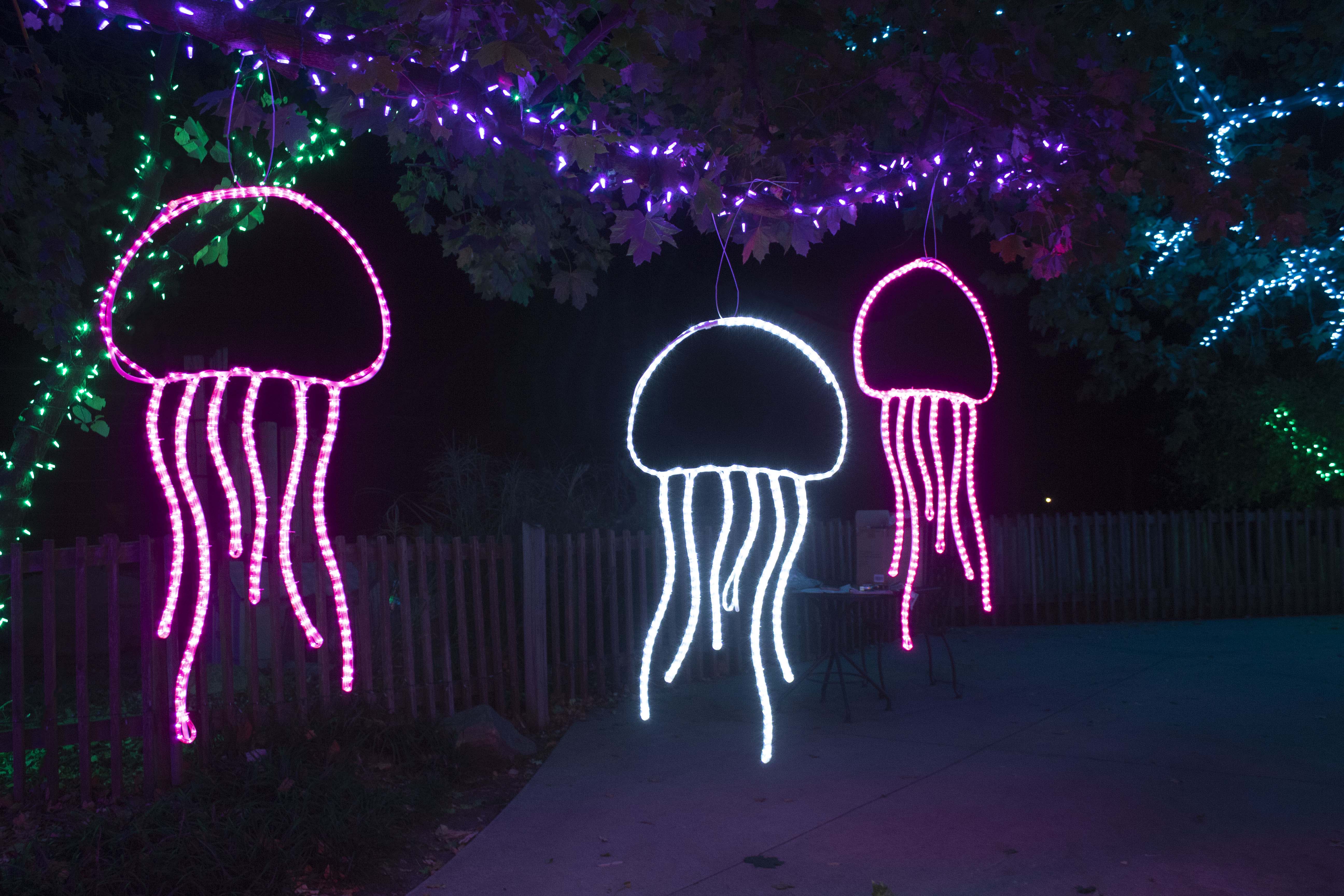 Topeka Zoo Lights at night, Jellyfish light display hanging from trees