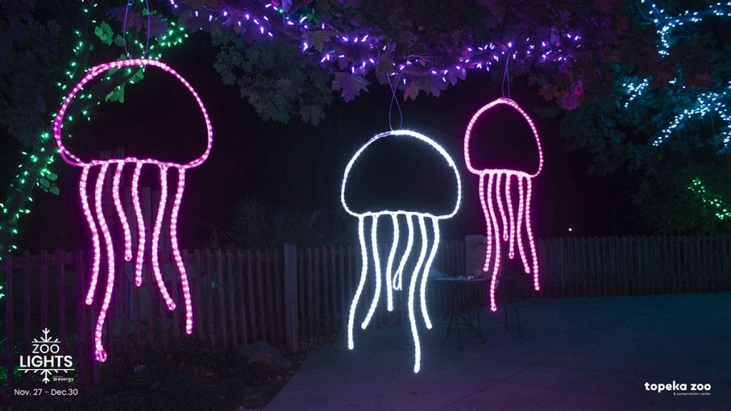 Zoo Lights - Topeka Zoo \u0026 Conservation 