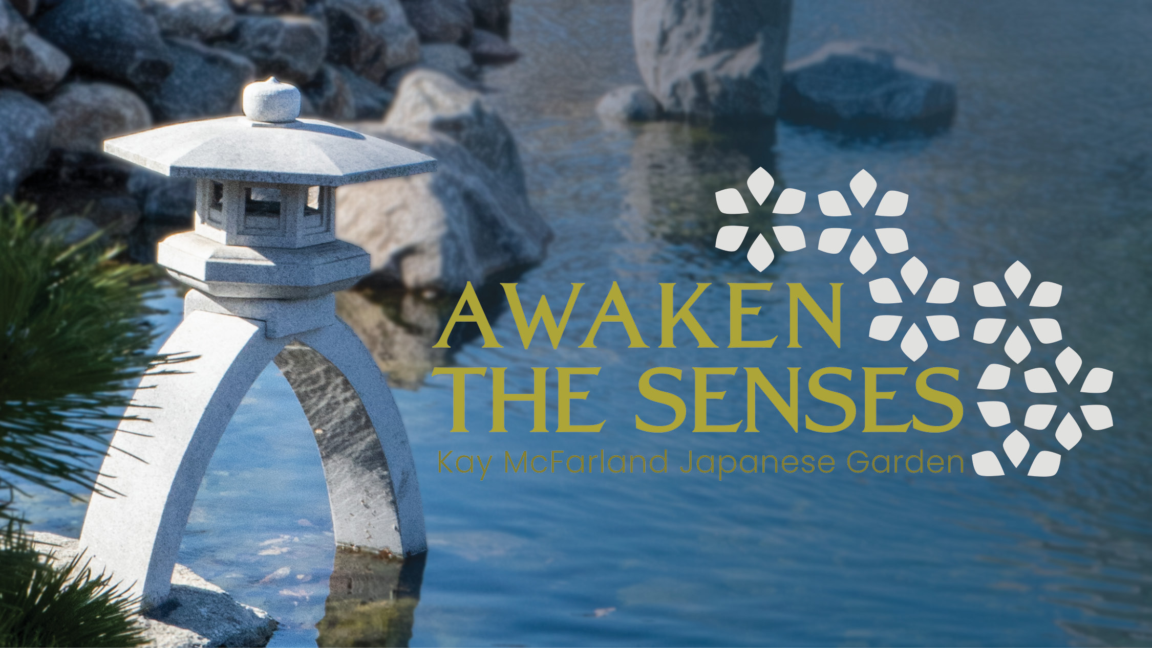 Awaken The Senses Awaken The Senses Cover