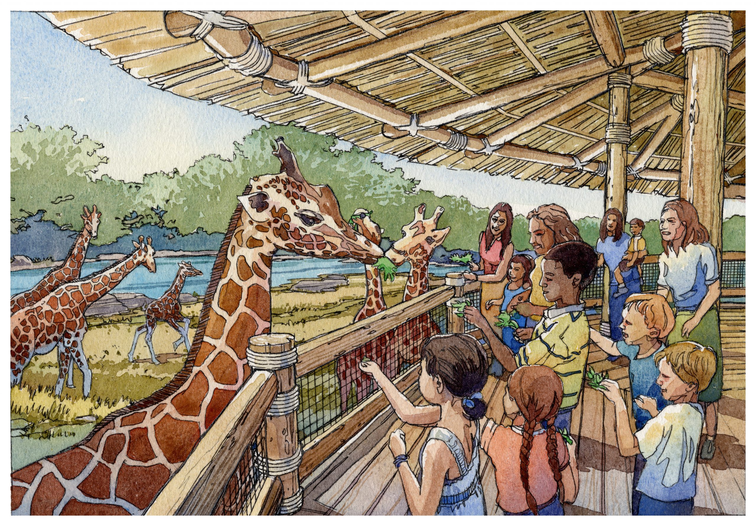 Giraffe and Friends Drawing