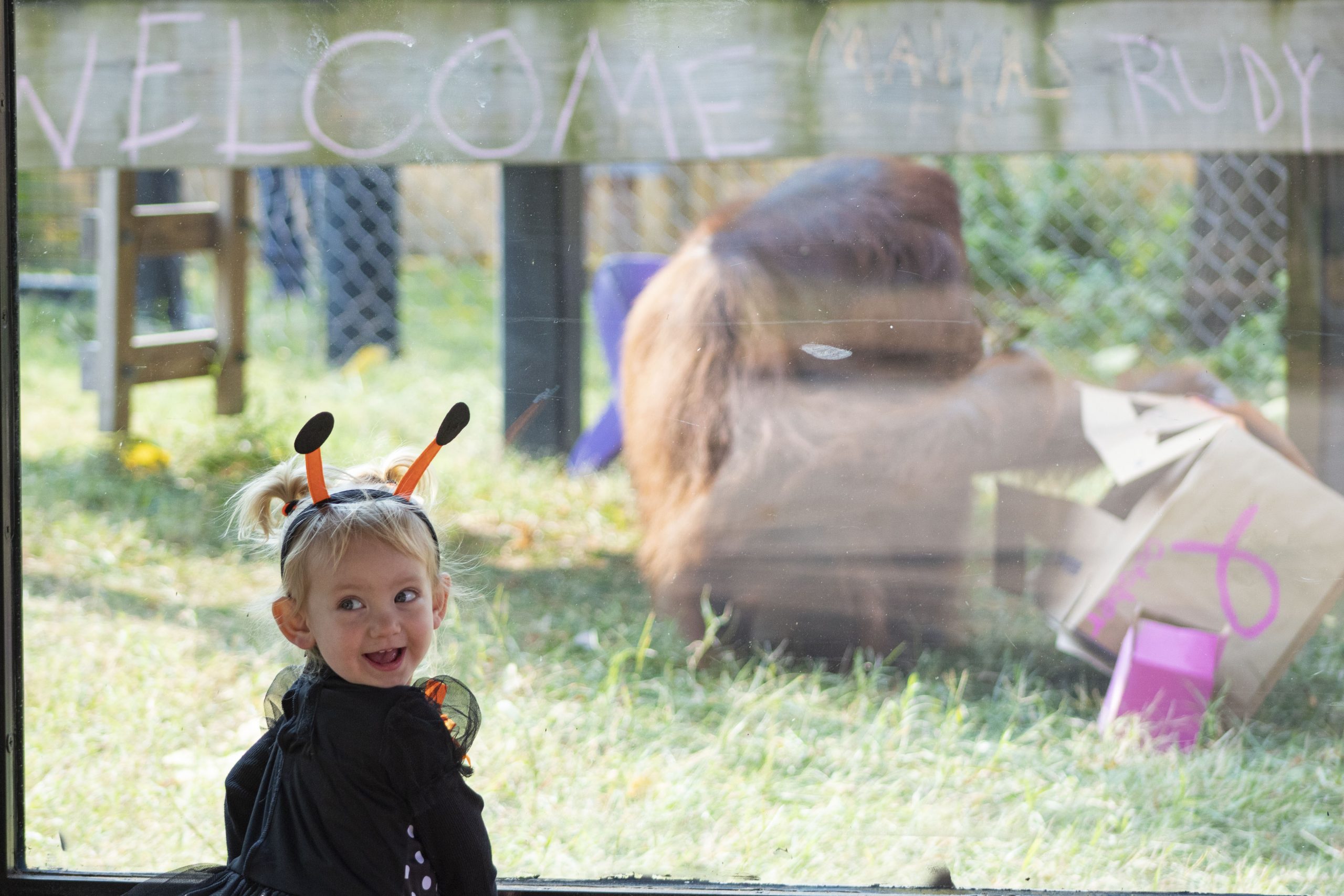 Kid in Costume with Orangutan