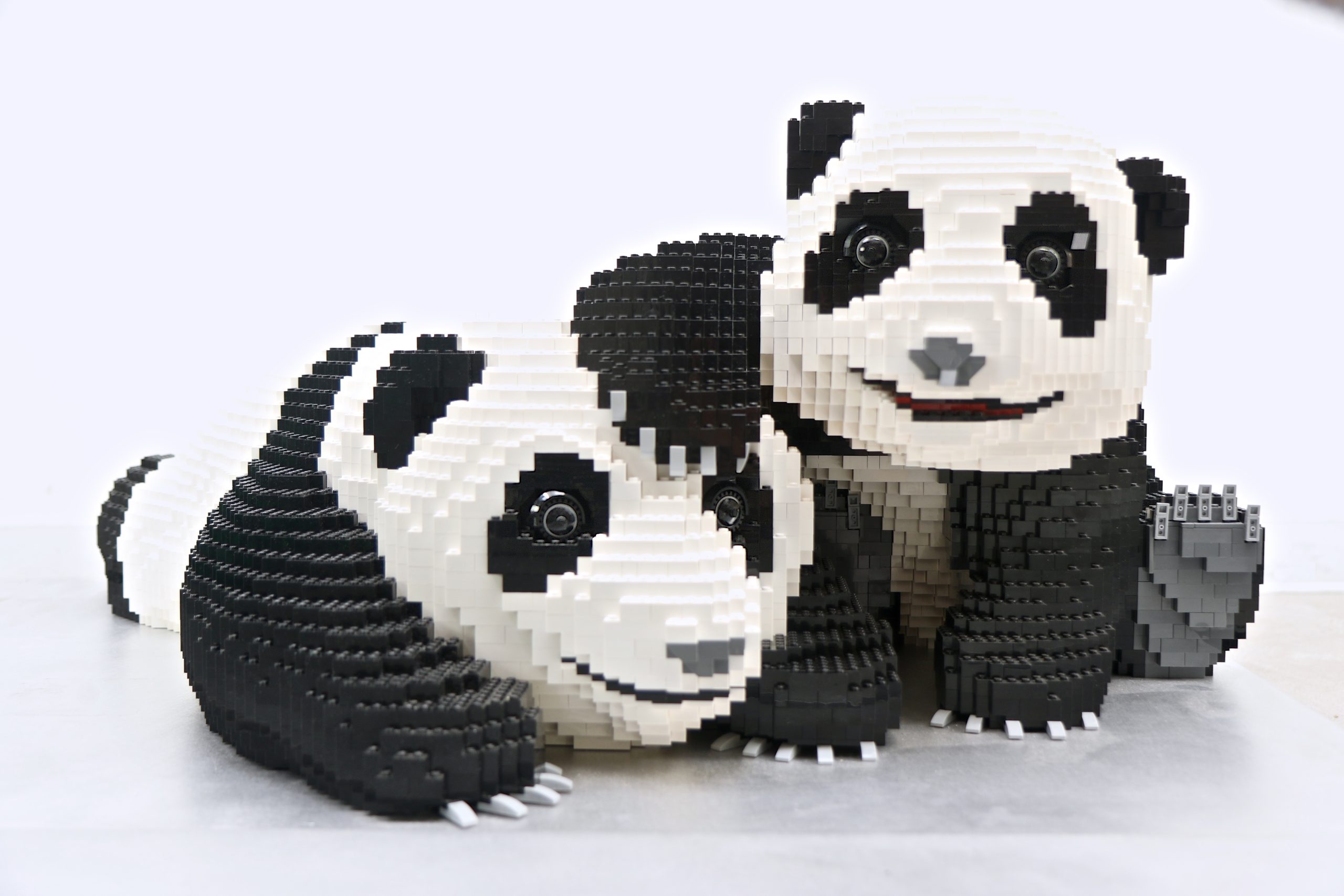 Baby Pandas 7-7