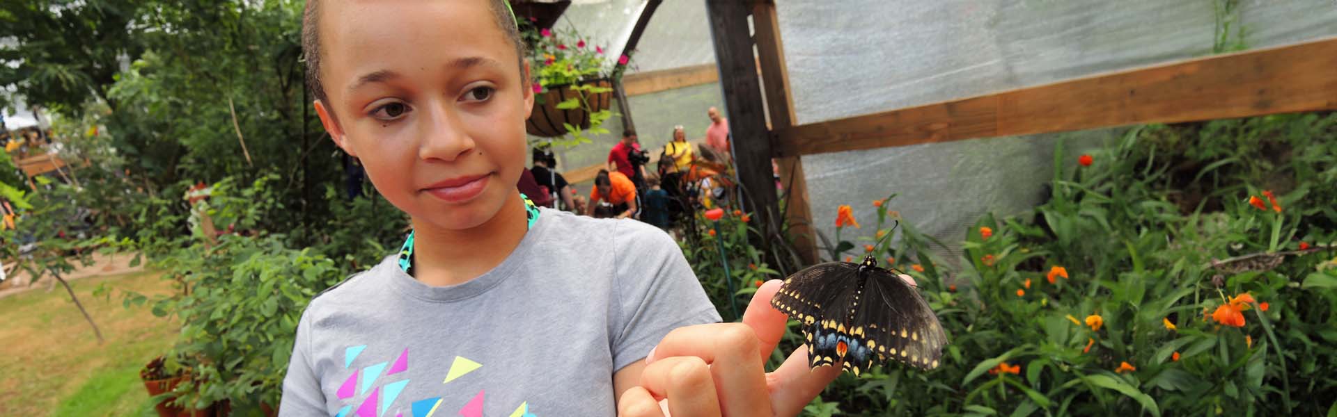 Eco Club Header Butterfly