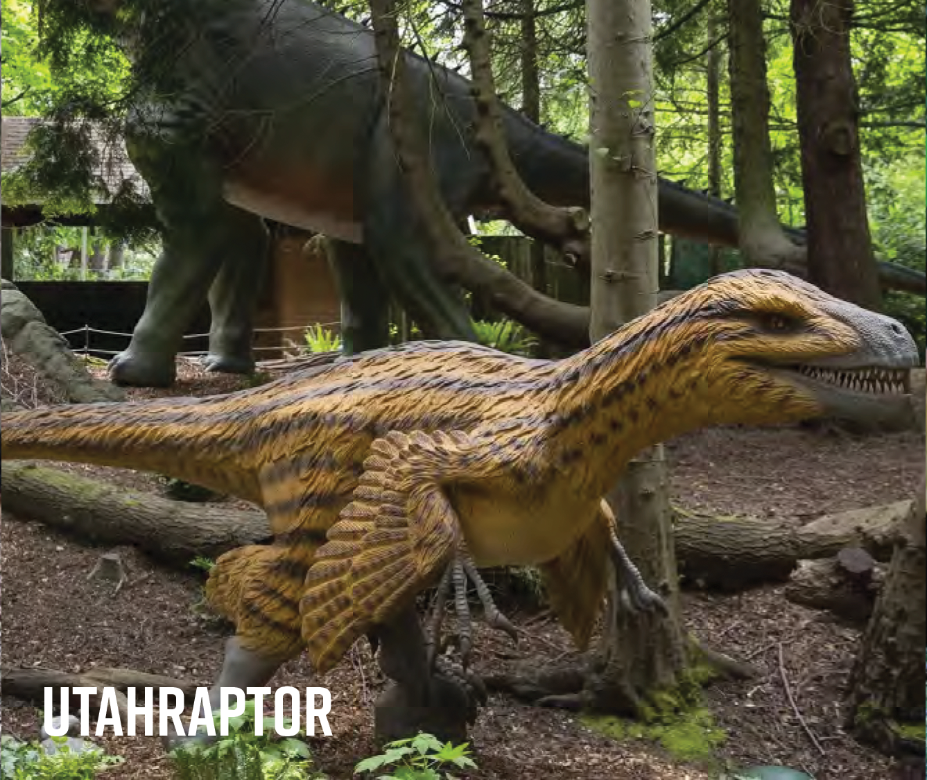 Utahraptor