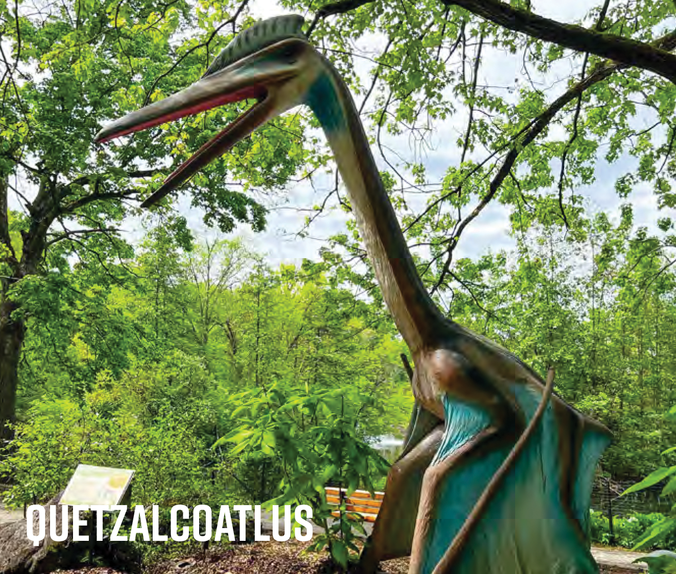 quetzalcoatlus