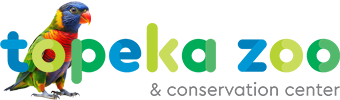 header logo graphic lorikeet v2
