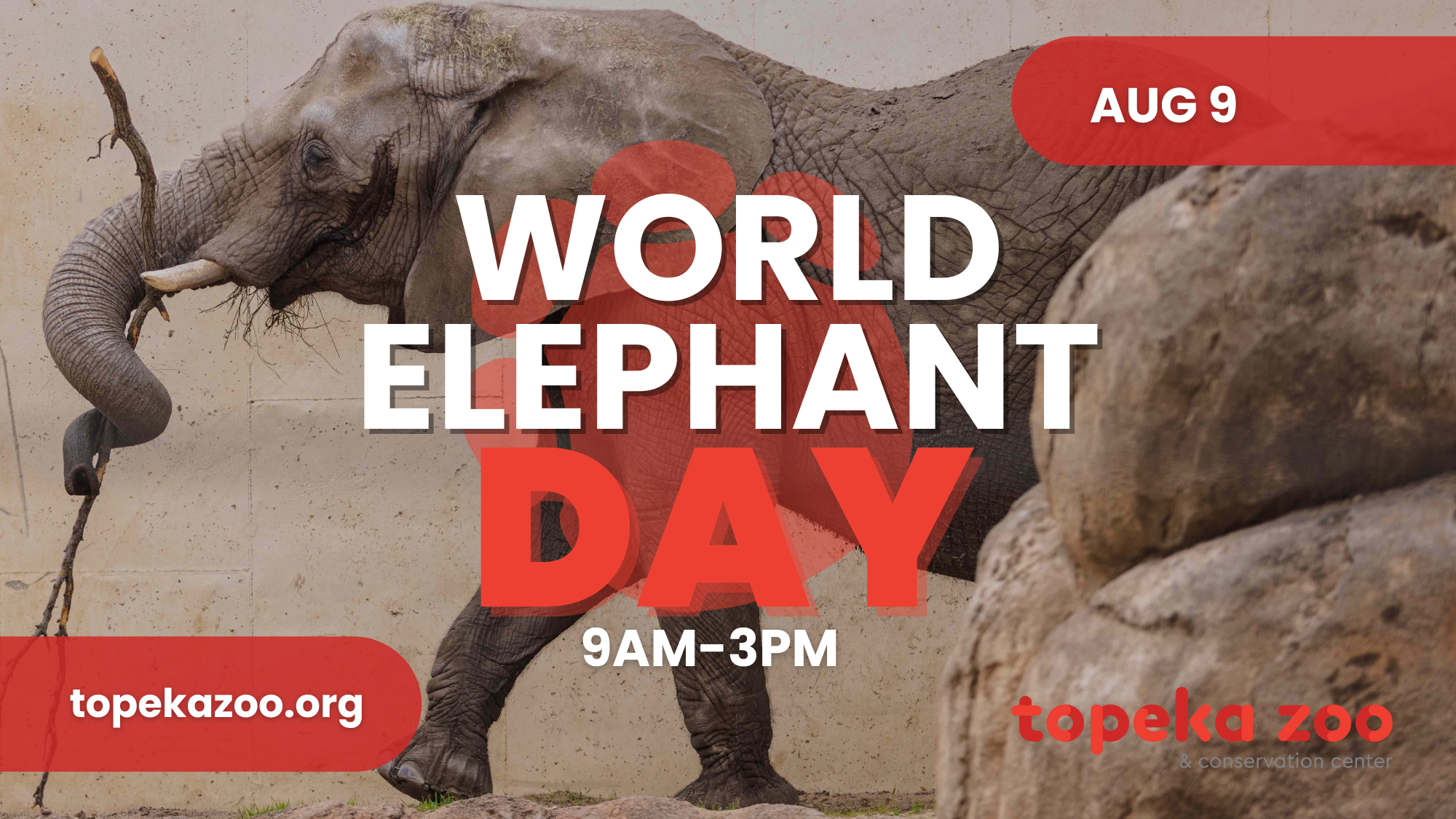 world elephant day tv slide world elephant day tv slide