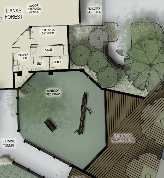 color discovery forest red panda