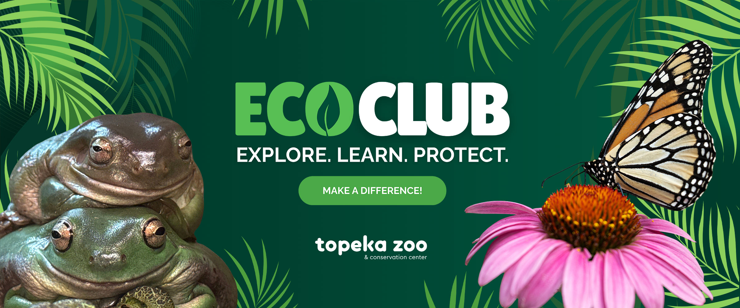 Eco-Club-home-page-scroller