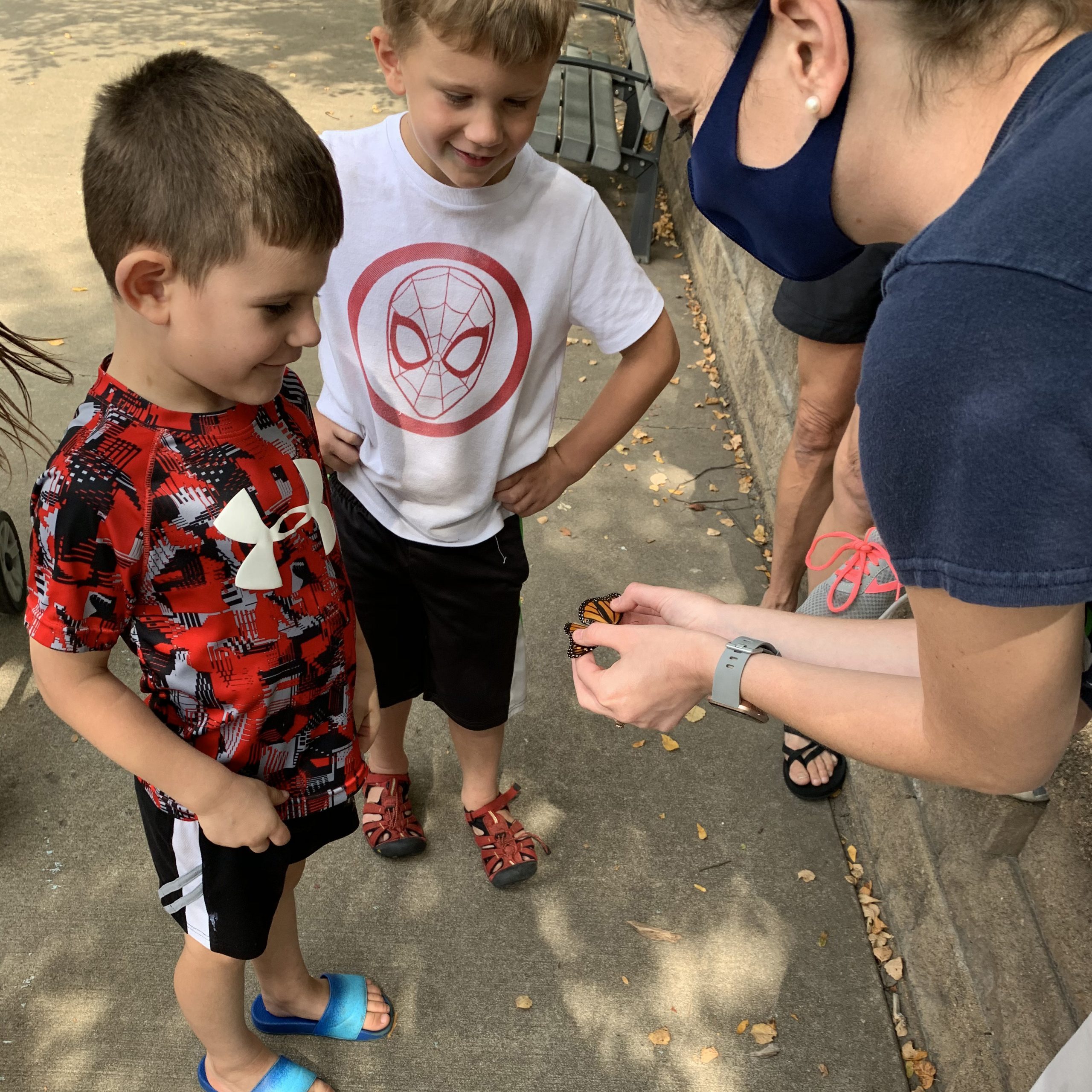 Children Tagging Monarch BUtterfly