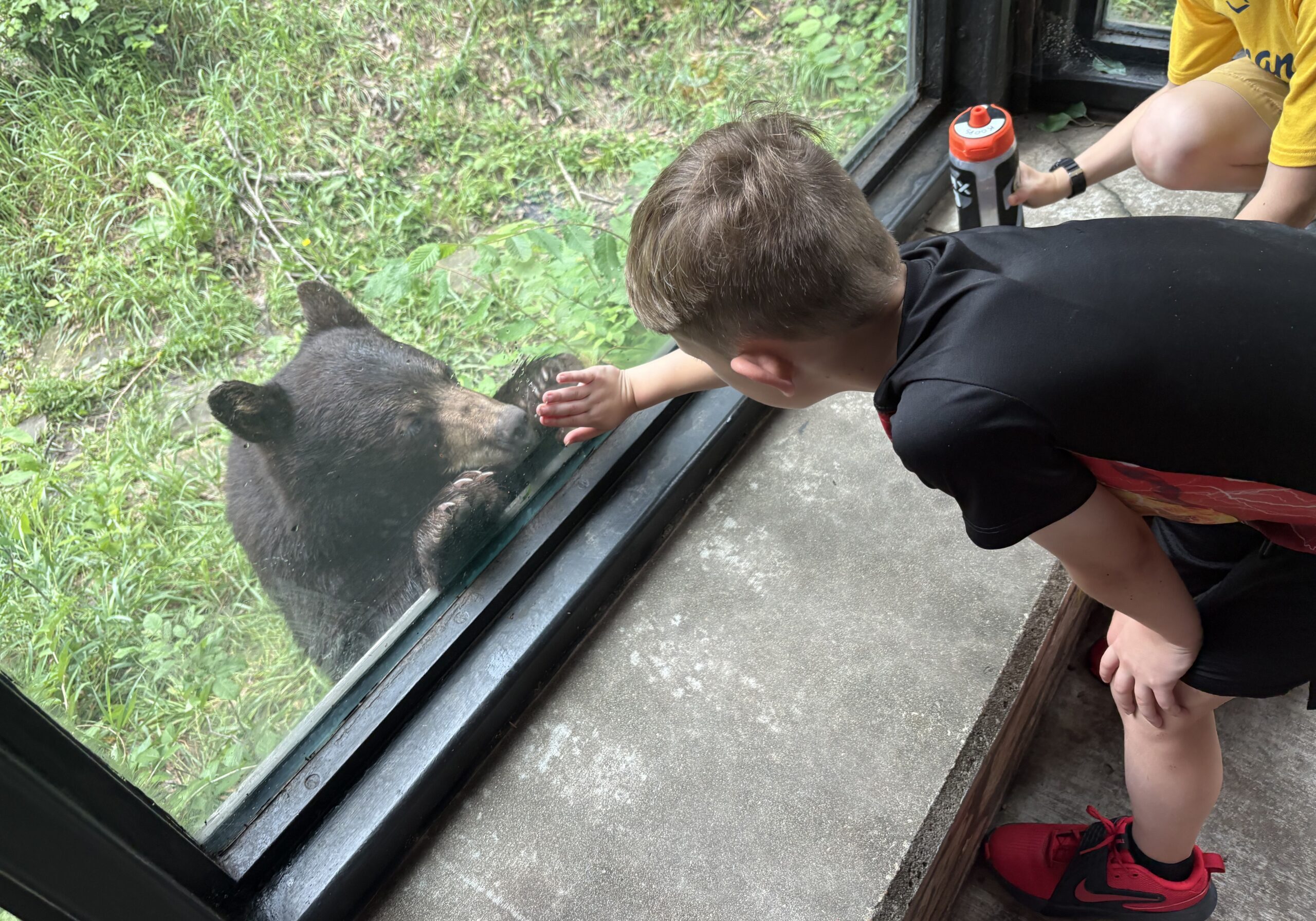 Camper with Bear