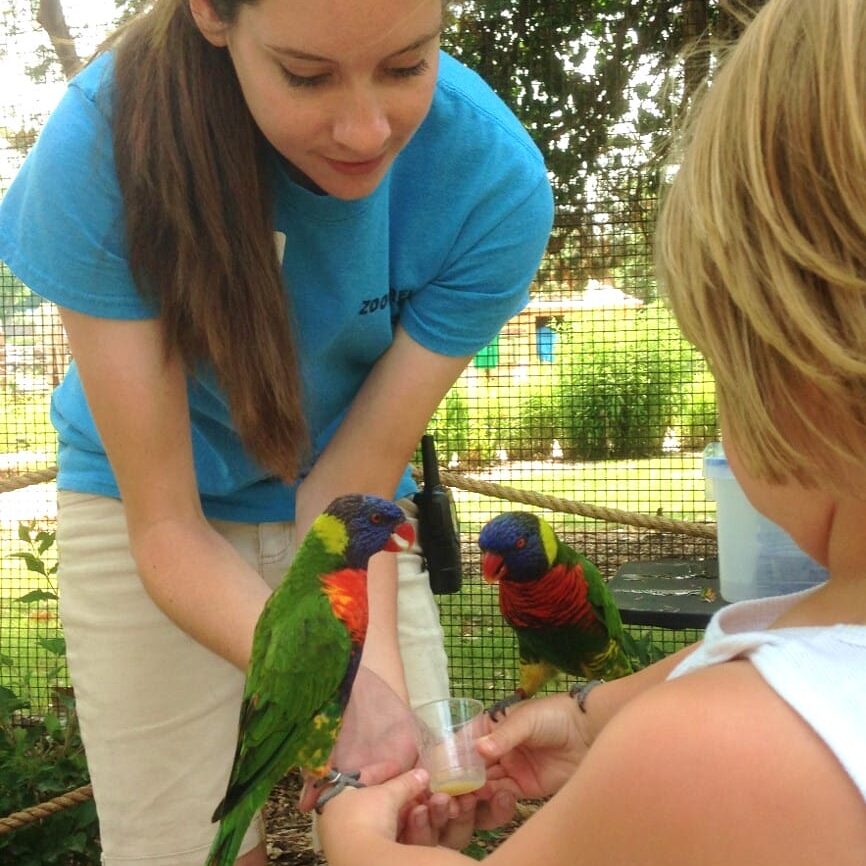 Adventure Trails featuring Lorikeet feedings opened in 2015.