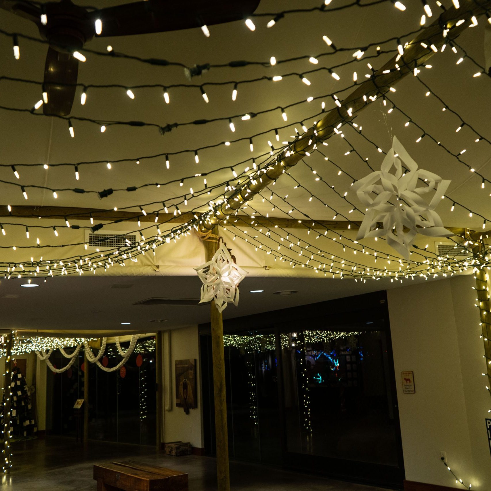 Zoo Lights Inside Camp C