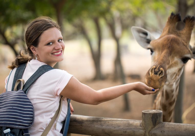 A woman feeds a giraffe with her hand