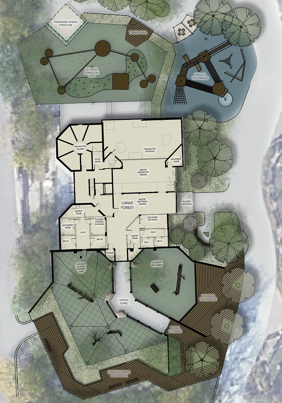 discovery forest overview map